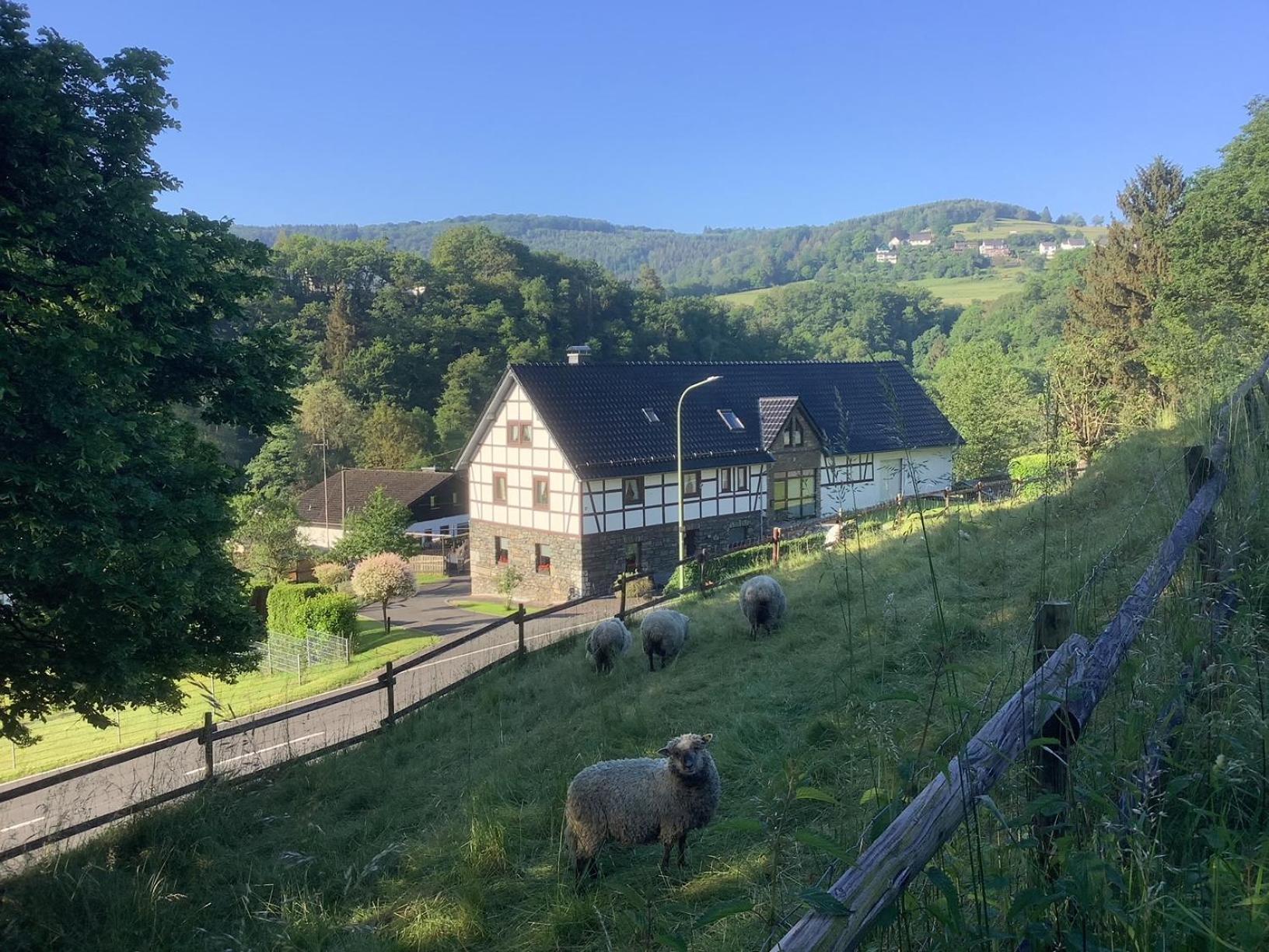 Berg Blick Eifler Bauernhaus Modern Restauriert Simmerath Εξωτερικό φωτογραφία